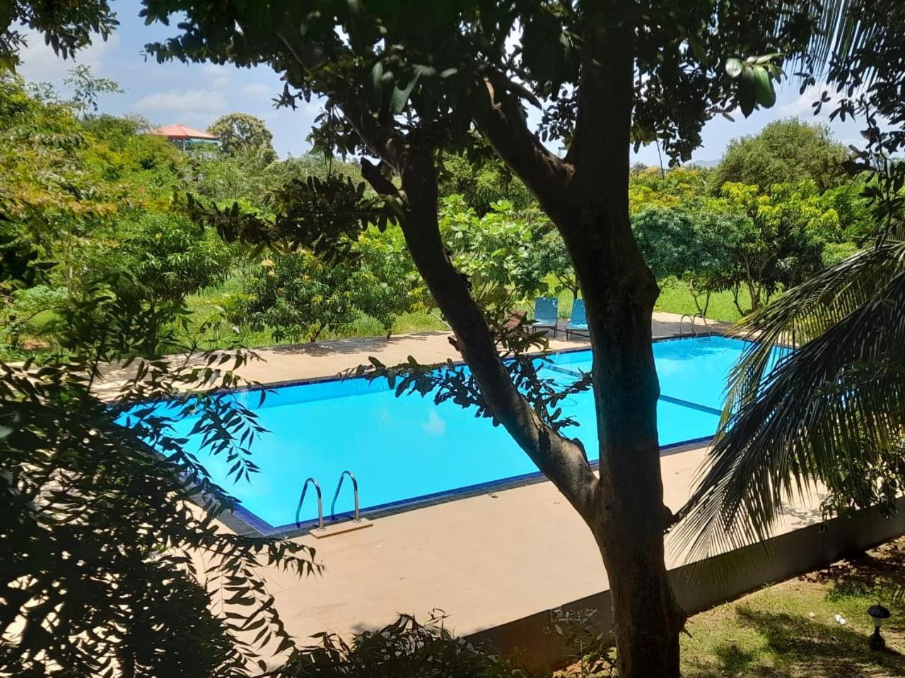 Freedom Village Dambulla Exterior photo